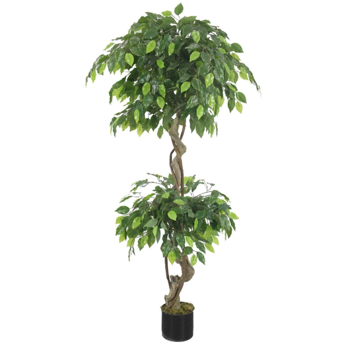 150cm Twisted Artificial Ficus Tree