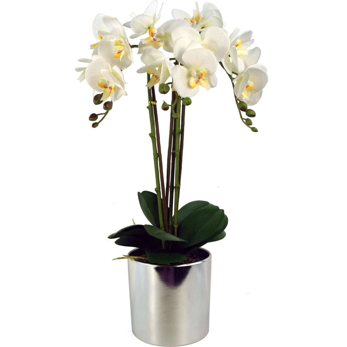 52cm Large Artificial Orchid – White & Silver