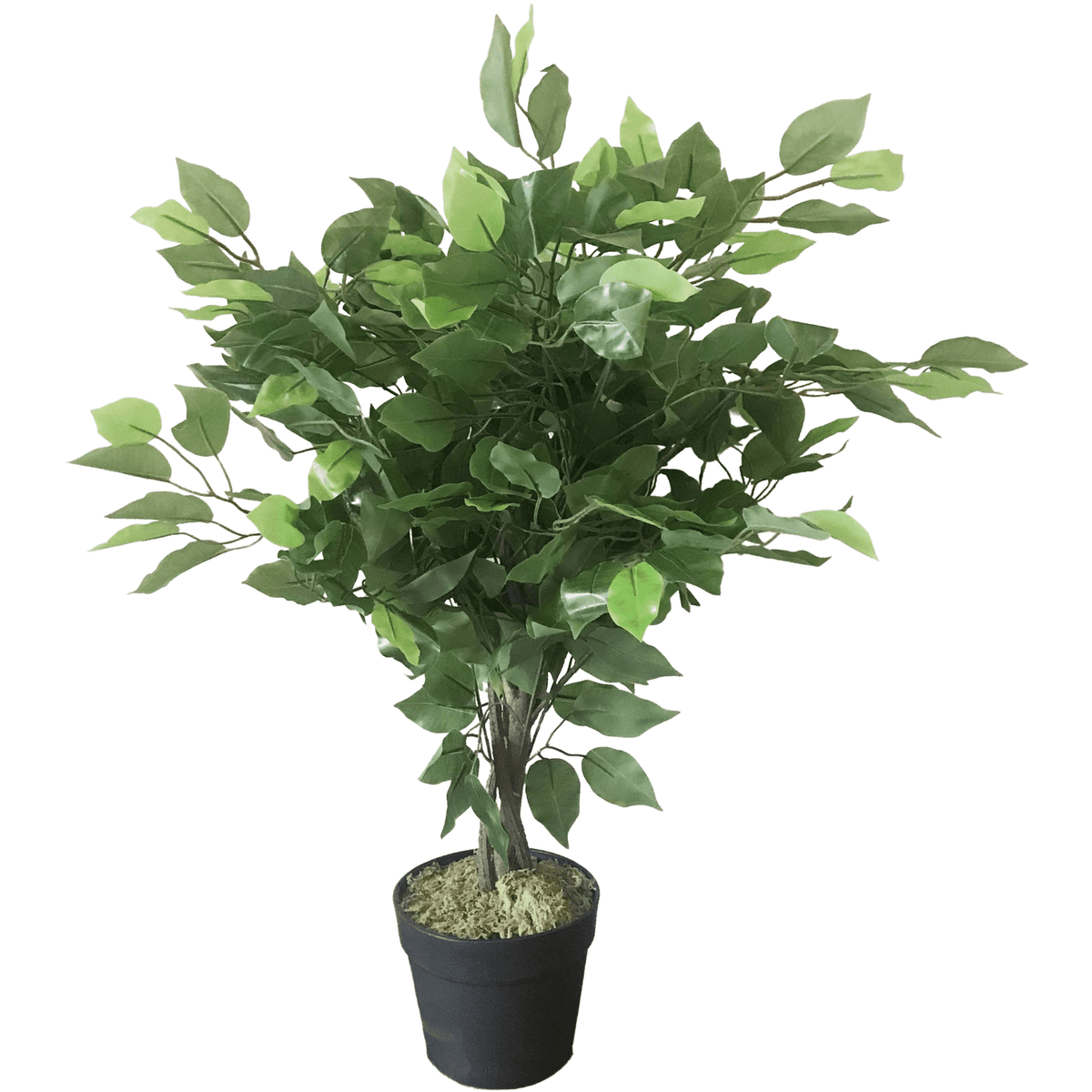 60cm Large Artificial Ficus Tree