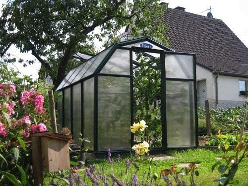 Eco Grow 6′ x 12′ Greenhouse – Green Frame & Twinwall Polycarbonate Panels