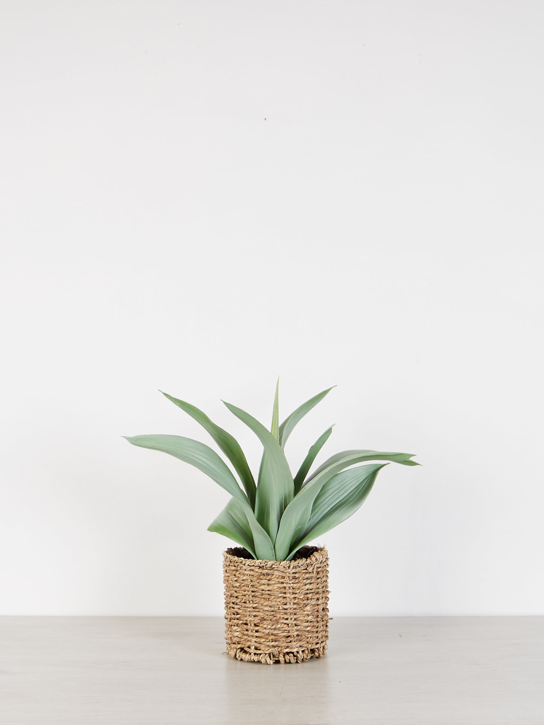 Faux Agave Plant in rattan pot