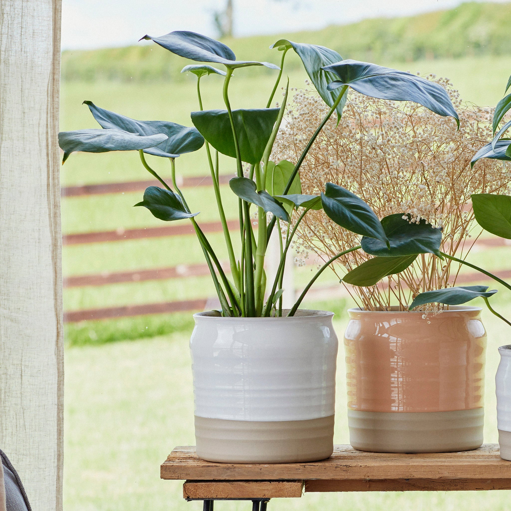 Ivyline – Puro Lipped Gloss White Ripple Planter