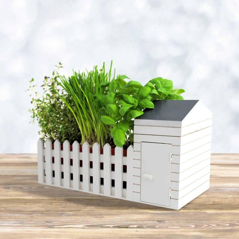 Indoor Allotment Planter