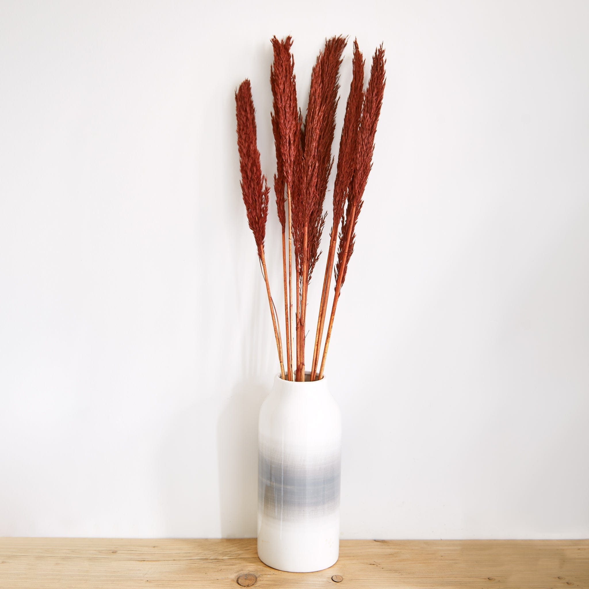 Dried Nanal Grass – Burgundy – 75cm – 10 Stems