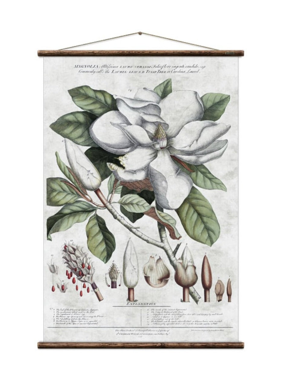 Wall Hanging Magnolia