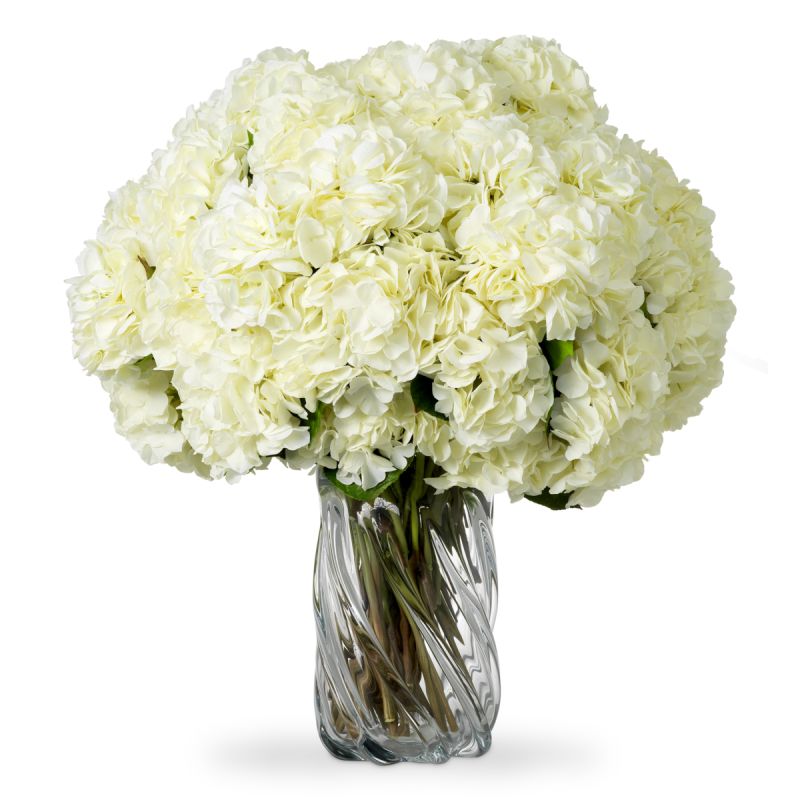 Bouquet of Hydrangeas – White