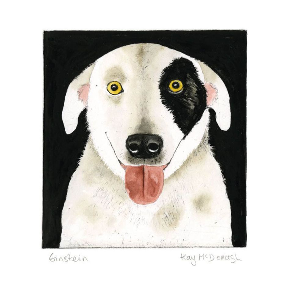 Einstein the Dog Greetings Card